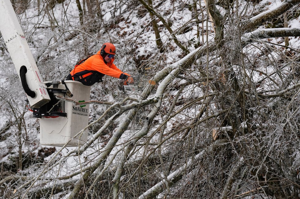 Austin Bradbury utiliza una motosierra para cortar una rama de un árbol sobre una carretera,...